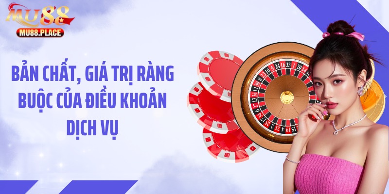 Bản chất, giá trị ràng buộc của điều khoản dịch vụ